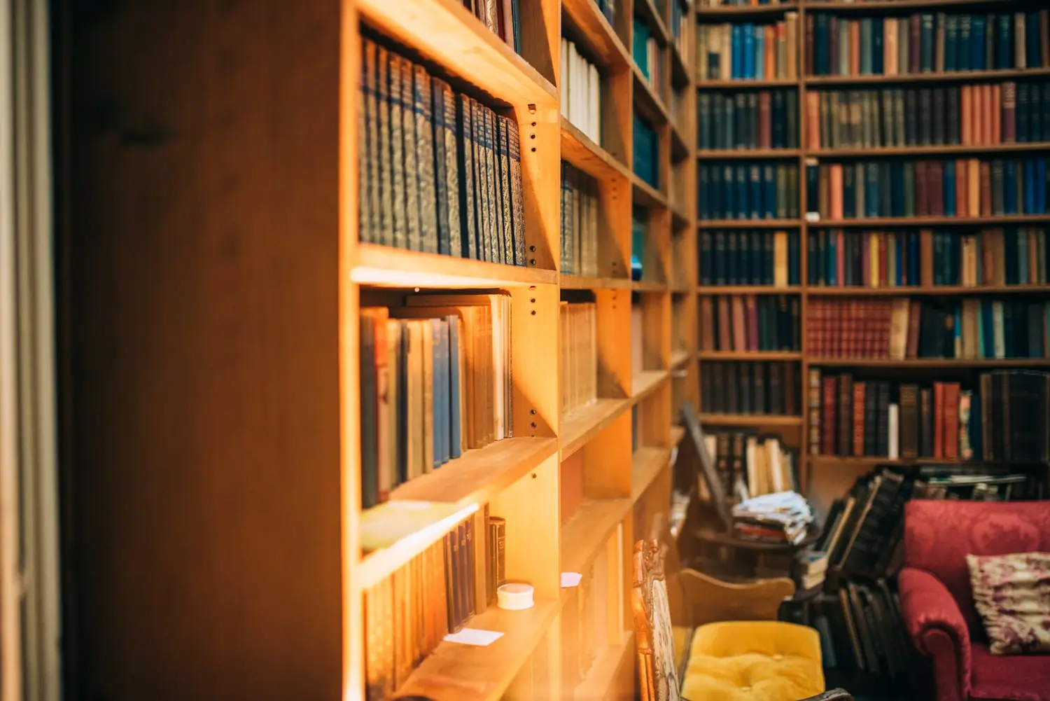 Szafa biblioteczna na wymiar - planowanie i organizacja