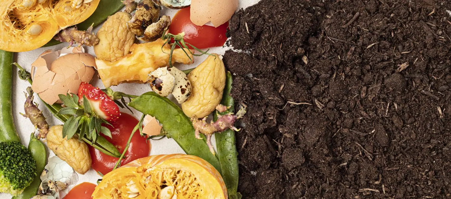 Domowe kompostowanie - zero waste w praktyce