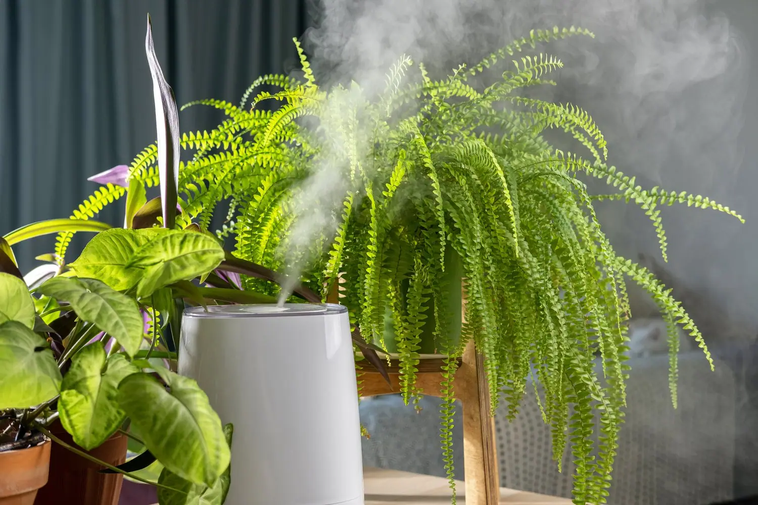 Jakość powietrza w domu - naturalne metody na poprawę mikroklimatu